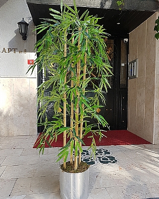 Yapay BanbuAac 